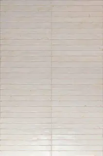 Colors White 4,8x45