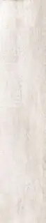 GreenWood Bianco|24x120