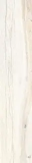 Daring Ivory |24x120