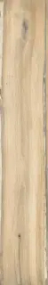 Infinity (Infusion) Birch 24x150