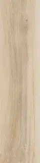Hard Cream |15x61