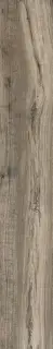 Soft Ash ZZ 15x100