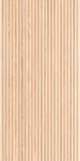 Canne Ecru 60x120
