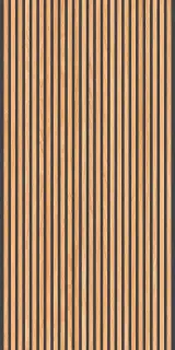 Canne Honey Black 60x120