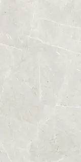 Skala 2201 Белый Матовый 60х120