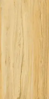 Alleya 2101 Медовый Структурированный 60x120