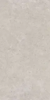 Monochrom 2061 Бежевый Матовый 60х120