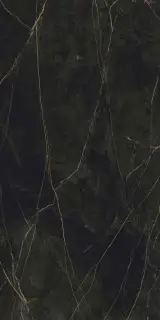 Гранит Сандра черно-оливковый MR матовый 60x120