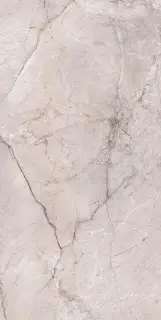 Marble Dragon Grey Silk 60x120