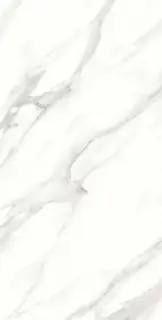 Calacatta Vero Satin 60x120