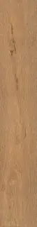 Roots Gold 20x120