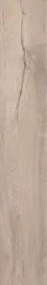 Roots Taupe 20x120