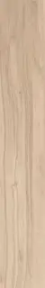 Beige Chiaro Nat  KL |16x100
