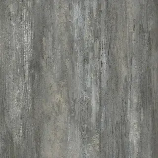 Old Tjikko 42x42