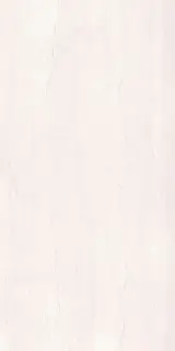 Dorset Blanco 60x120