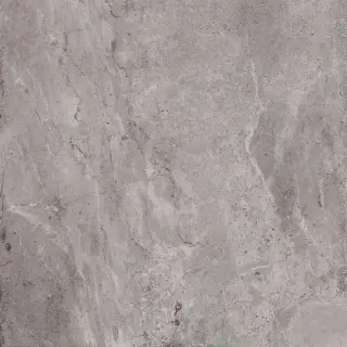 Erding Grey decorstone 120x120
