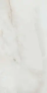CR Sardonyx White Leviglass |60x120