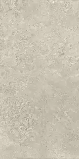 Montpellier Bone compactto 60x120 Rec. XX