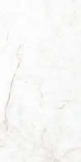 Crystal White Compacglass 60x120 Rec.