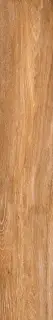 At. Viggo Fresno Rett|20x120
