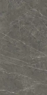 Marvel Grey Stone |60x120