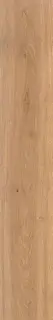 Log Icon Oak 20x120
