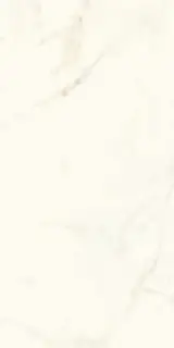 Marvel Calacatta Delicato Matt |60x120