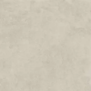 Фреджио серый светлый матовый ZZ|20x20