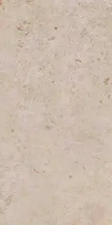 Про Лаймстоун бежевый тёмный натуральный обрезной 60x119,5
