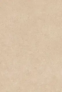 Золотой пляж темный беж XX |20x30