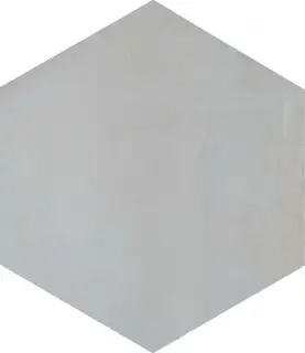 Раваль серый светлый ХХ|29x33.4