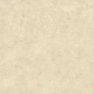 Gravity Beige XX 80x80