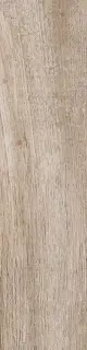 Nordland beige PG 02  12.5x50