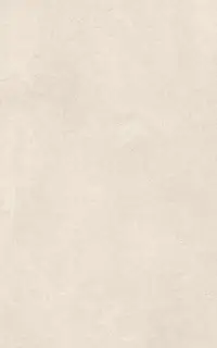 Эфа беж верх 01 25x40