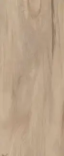 Supreme beige wall 04 |25x60