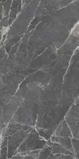 Majestic Dark Silky 60x120