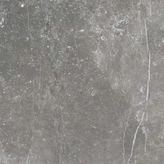 Pietra Antica Grigio KL 80x80