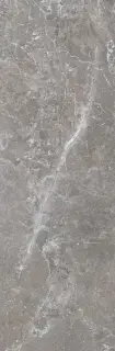 Pietra Antica Grigio XX 33.3x100