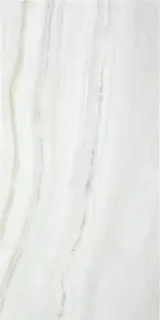 MIST PEARL 60X120 RECT PULIDO