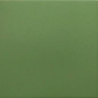 Гранит керамический 30716 RIVOLI Green 20x20 см
