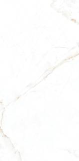 Гранит керамический DUAL White /60x120/EP 60х120х1 см