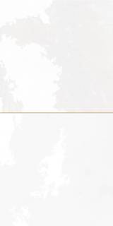 Плитка керамическая настенная FS TRADITION SQUARE White 20x40x1,03 см