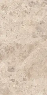 Керамогранит ERA BLOOM. TAUPE NAT R60X120
