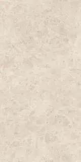 Керамогранит ERA DELIC. BEIGE NAT R60X120