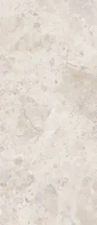 Керамическая плитка ERA BLOOM. IVORY NAT R120X280