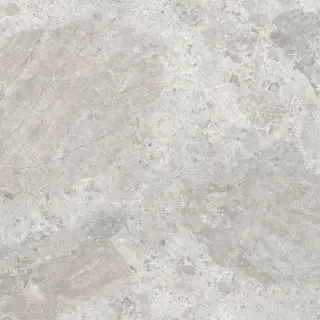 Керамический гранит  ERA BLOOM. ASH NAT R120X120