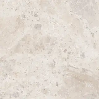 Керамический гранит  ERA BLOOM. IVORY NAT R120X120