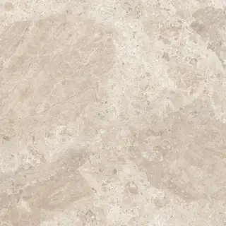 Керамический гранит  ERA BLOOM. BEIGE NAT R120X120