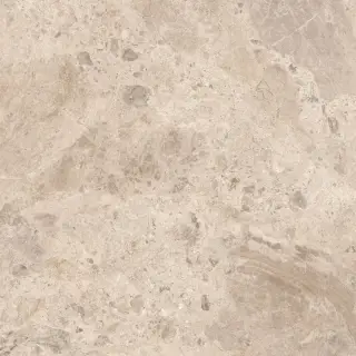 Керамический гранит  ERA BLOOM. TAUPE LAP R120X120