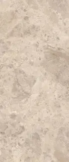 Керамическая плитка ERA BLOOM. TAUPE NAT R120X280